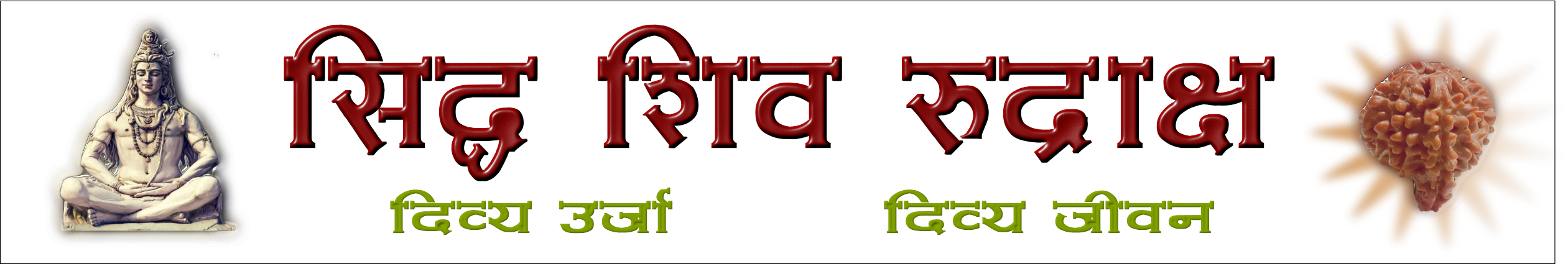 Siddha Shiv Rudraksh