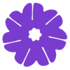 rudraksha