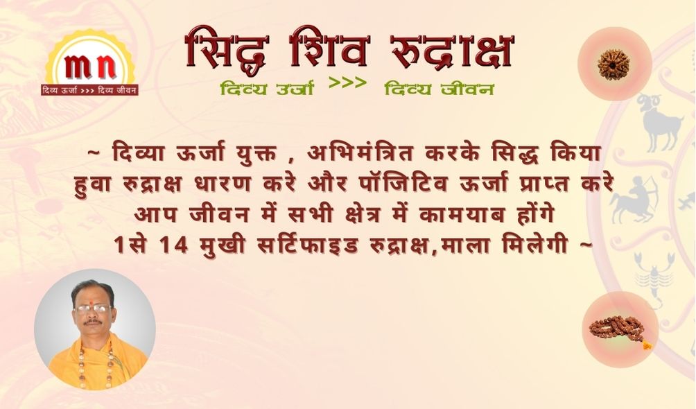 siddha shiv rudraksh divya urja